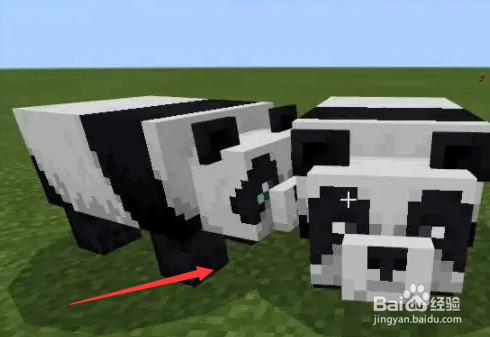 我的世界熊猫怎么养