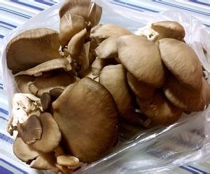 怎么做香酥孜然平菇