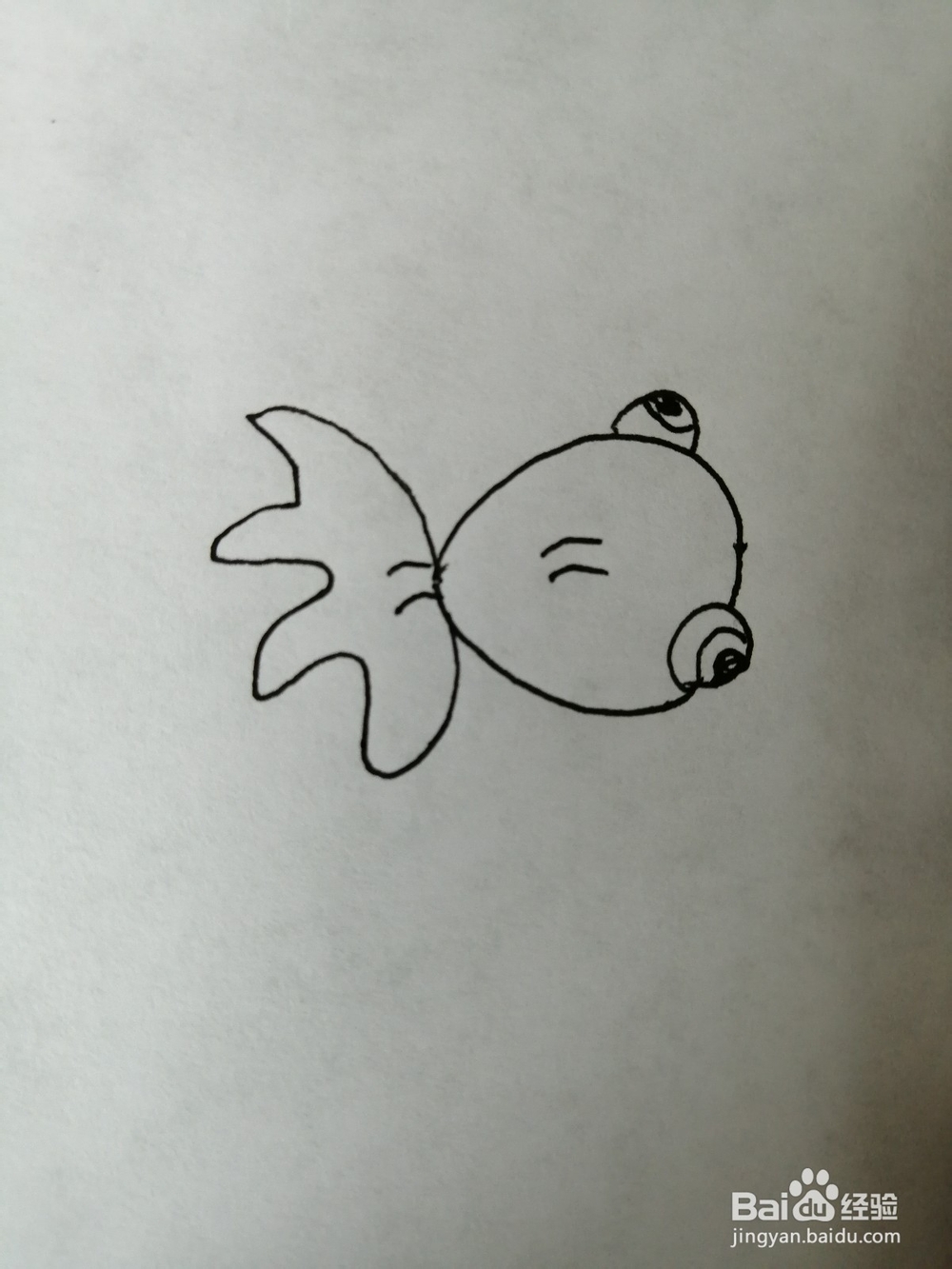 简单的小金鱼怎么画