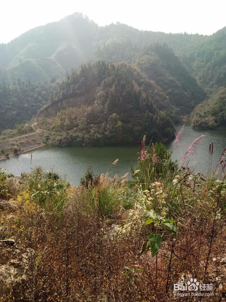田云青老师旅游景观册编辑方法