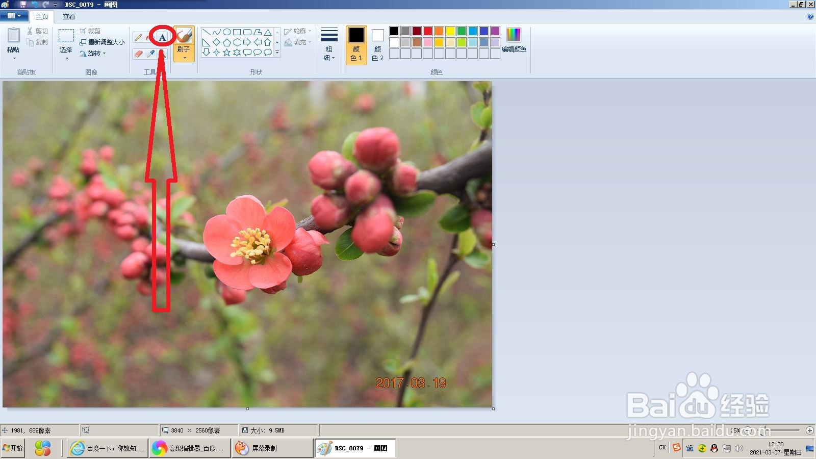 怎么在照片上加文字