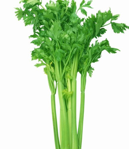 蛀牙牙疼怎么办