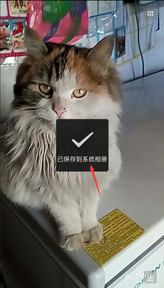 微信保存的小视频在哪里、缓存的视频和图片在哪