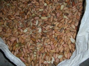 【生活常识】6个日常生活健康饮食小常识