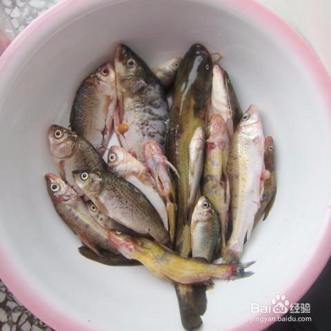 挑战你的味蕾—酱炖杂鱼