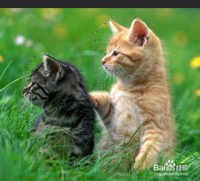 怎么使用PS中的快速蒙版？