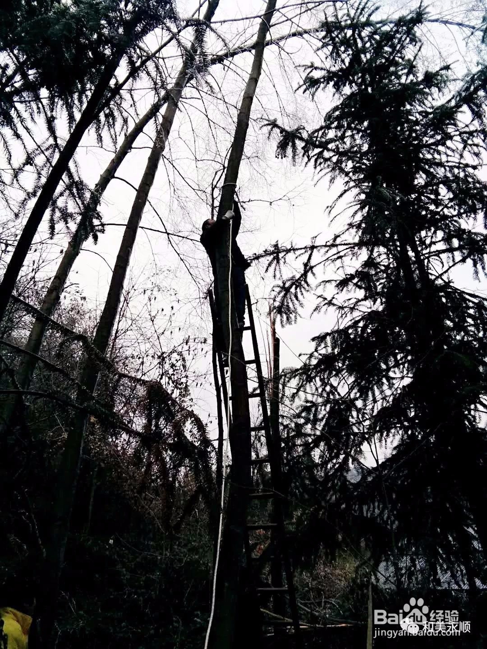 中国大江南北2018第二场大雪景观记实