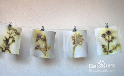 环保墙体野花装饰艺术