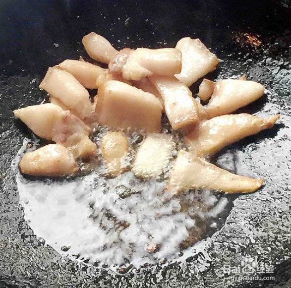 美味的猪肉炖粉条的制作方法