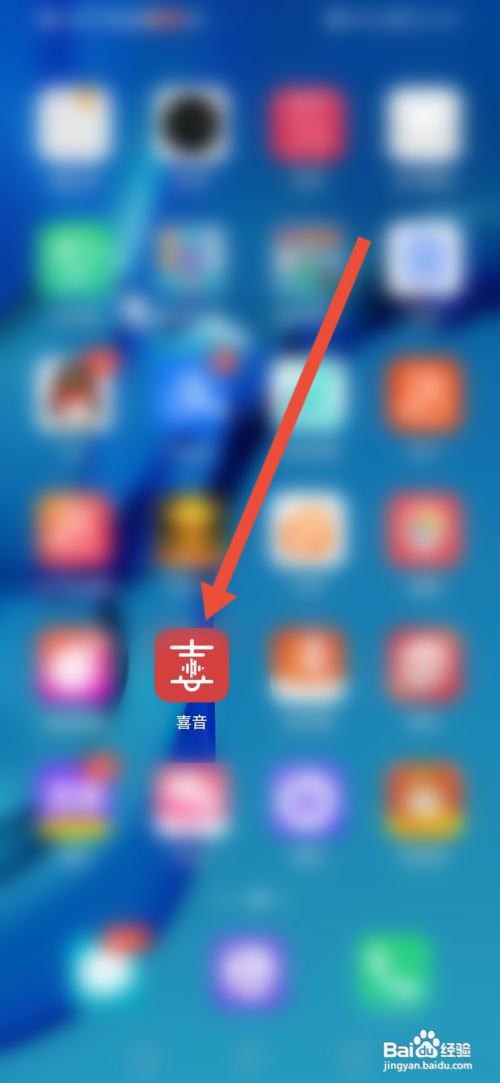 喜音APP如何查看平台主播开播协议?