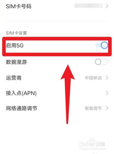 vivo手机5g怎么打开