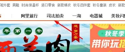 如何在网上司法拍卖