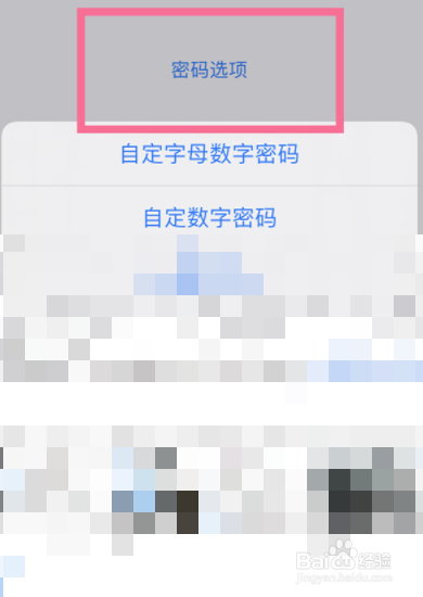 苹果13设备锁在哪里设置