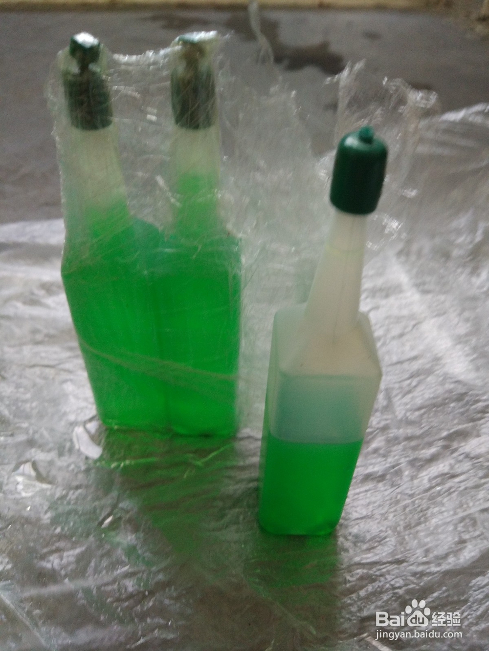 如何巧妙简单的培养滴水观音