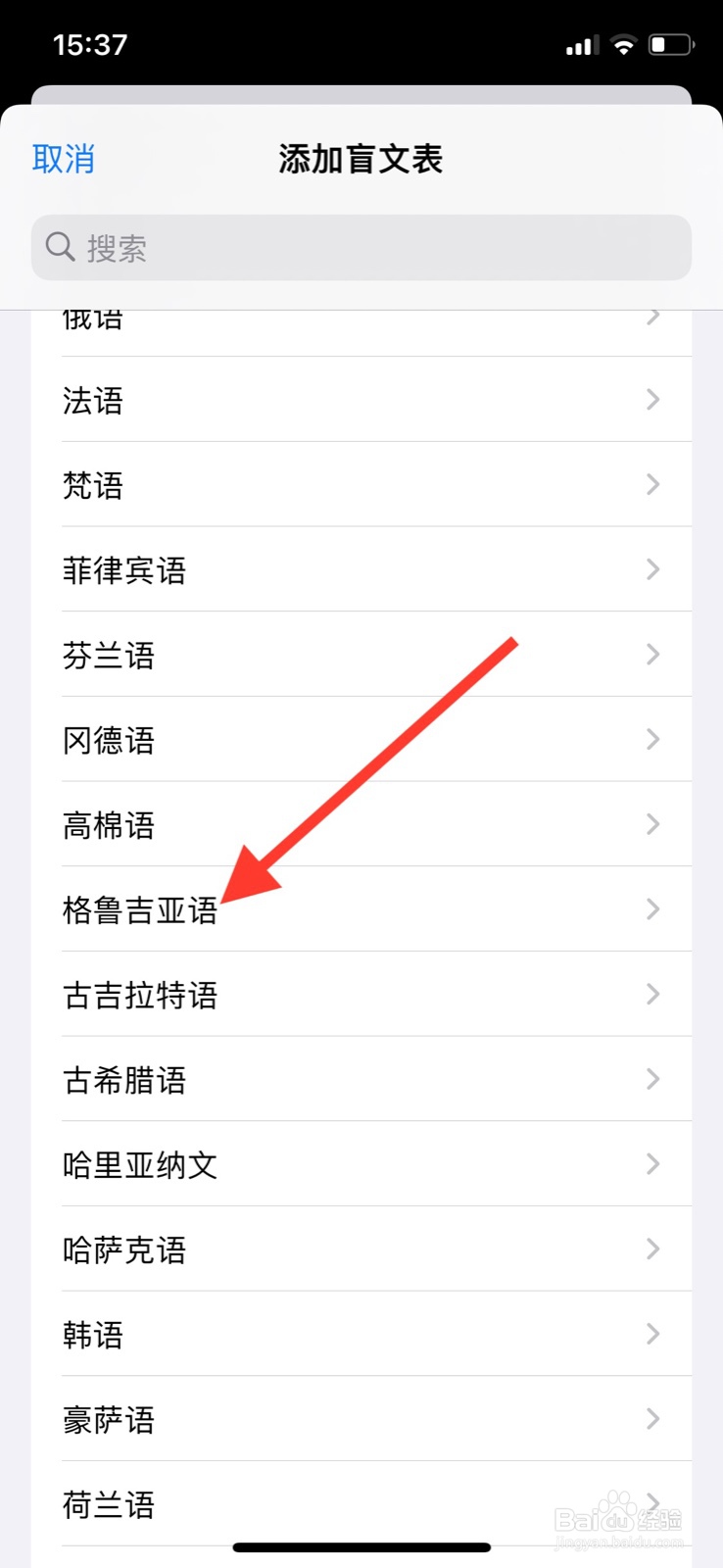 苹果手机旁白“格鲁吉亚语”盲文表怎样添加