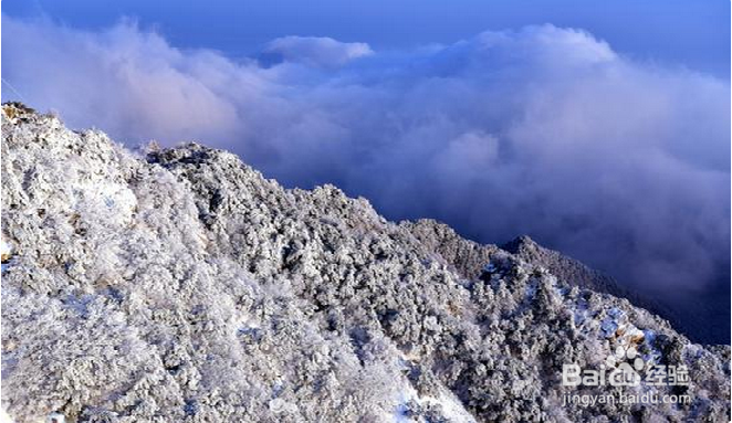 鬼斧神工般的精雕细琢 给你别样的冬季之美