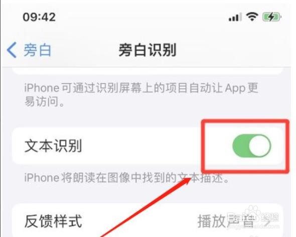 iphone手机旁白怎么开启文本识别?