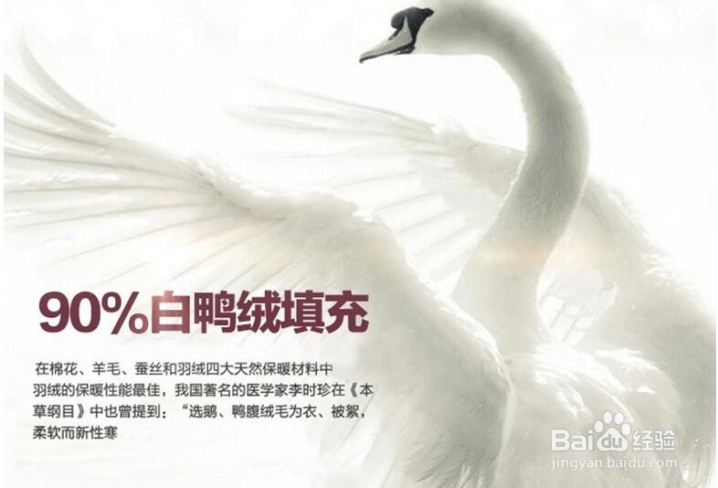 什么牌子的羽绒服好,羽绒服哪个牌子好