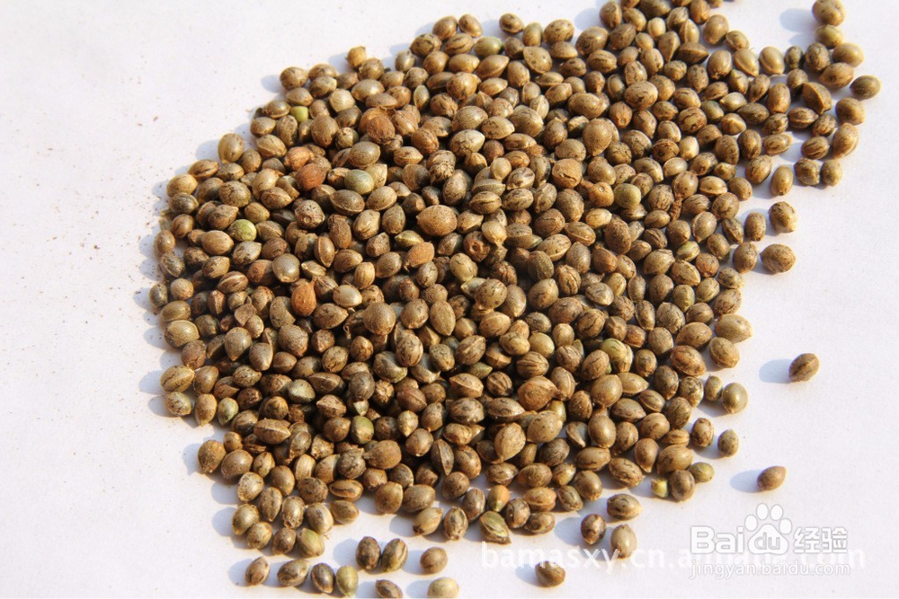 降血压药的副作用_降血脂药的副作用