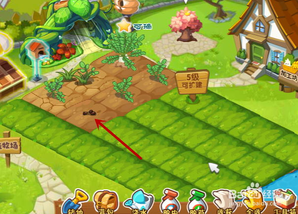 QQ农场如何获得种子？QQ农场如何种植植物？