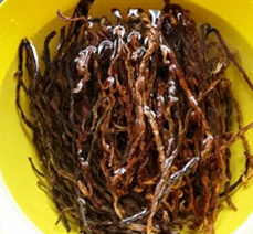 干豆角烧肉的做法