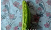 教你做酿苦瓜