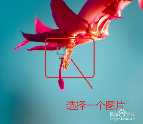 怎样使用画图3D