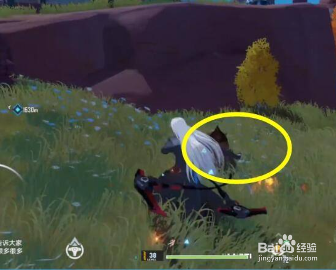 幻塔刷野猪攻略