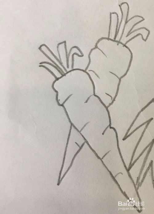 可爱小白兔的简笔画