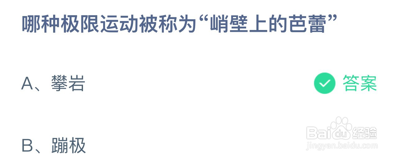 哪种极限运动被称为峭壁上的芭蕾蚂蚁庄园