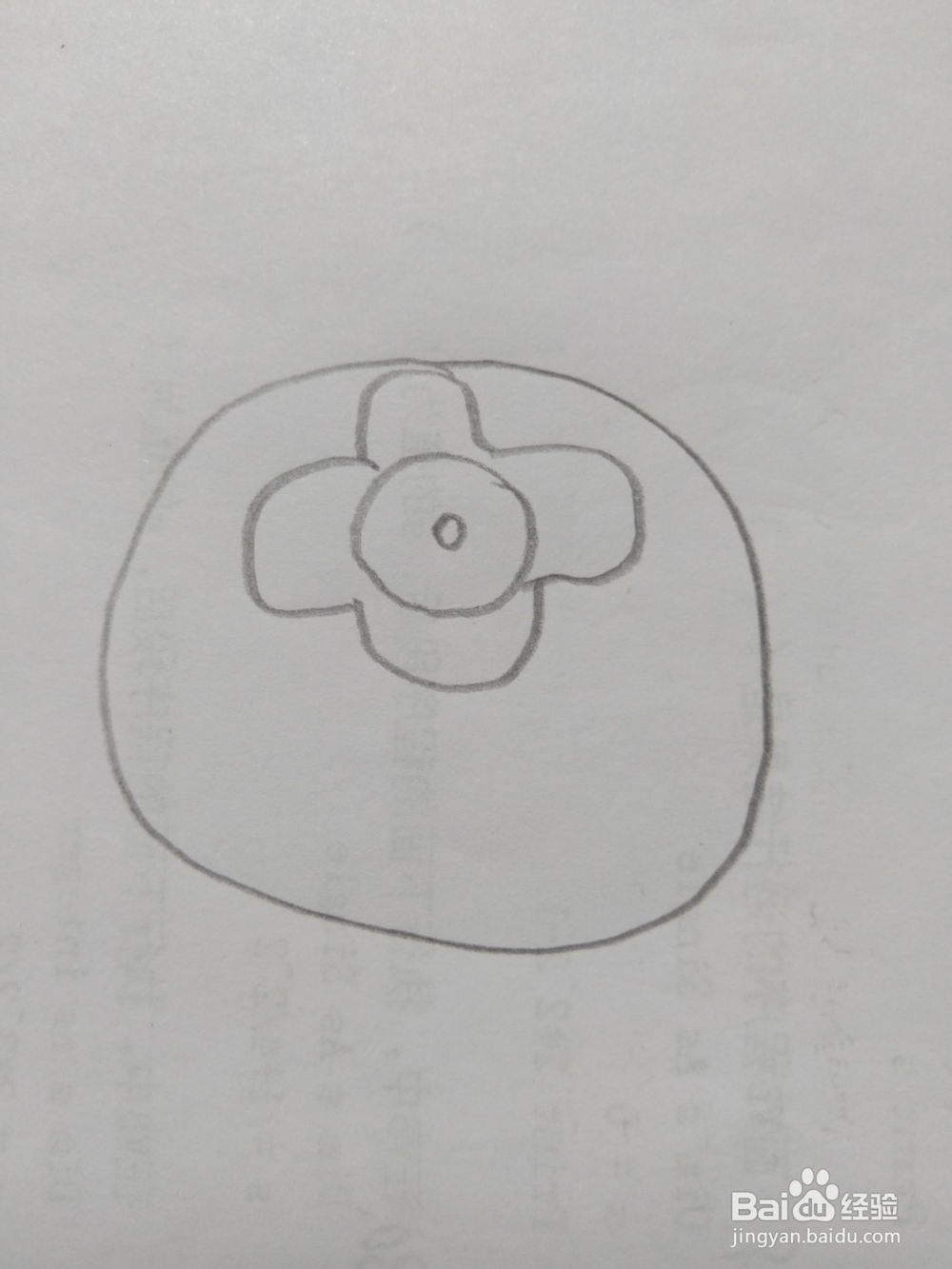 简笔画柿子画法2