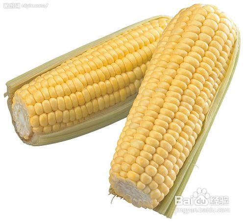 玉米的养生功效都有哪些