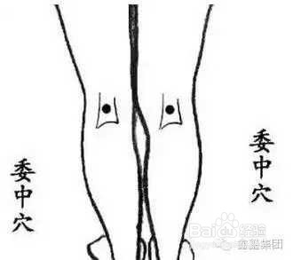 常拍六处可以排湿毒