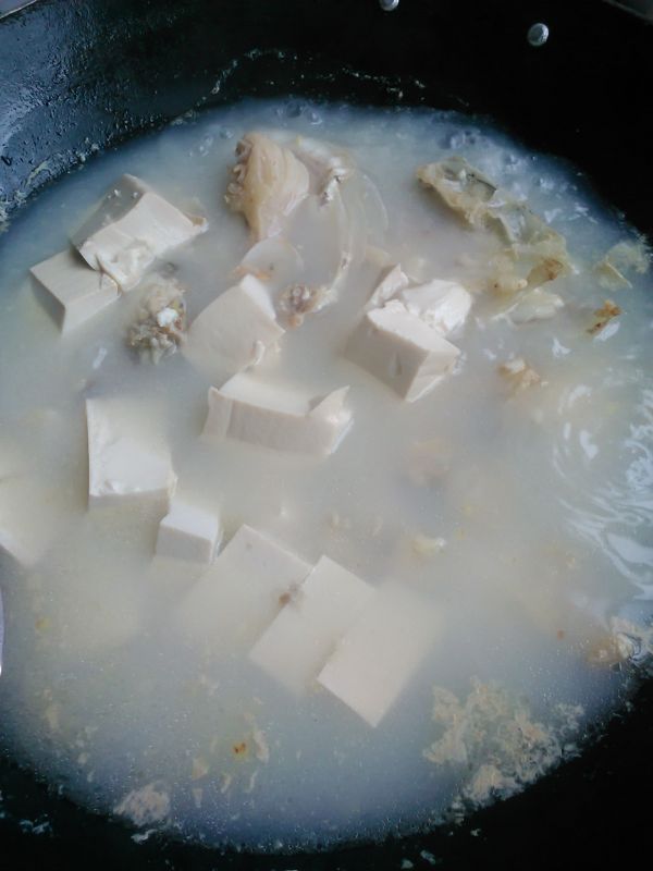 豆腐鱼头白贝汤