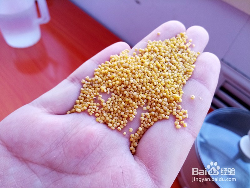 怎样熬出来的小米粥更有营养