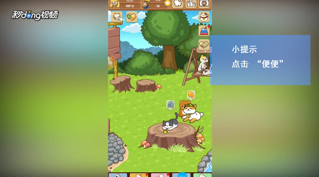 猫咪挂机如何为宠物猫咪选择猫砂