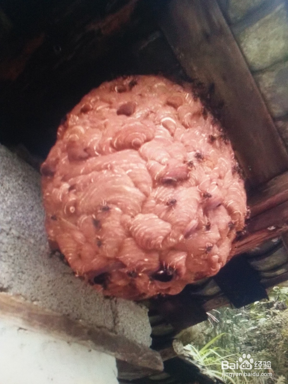 为网友记录旅游的方法