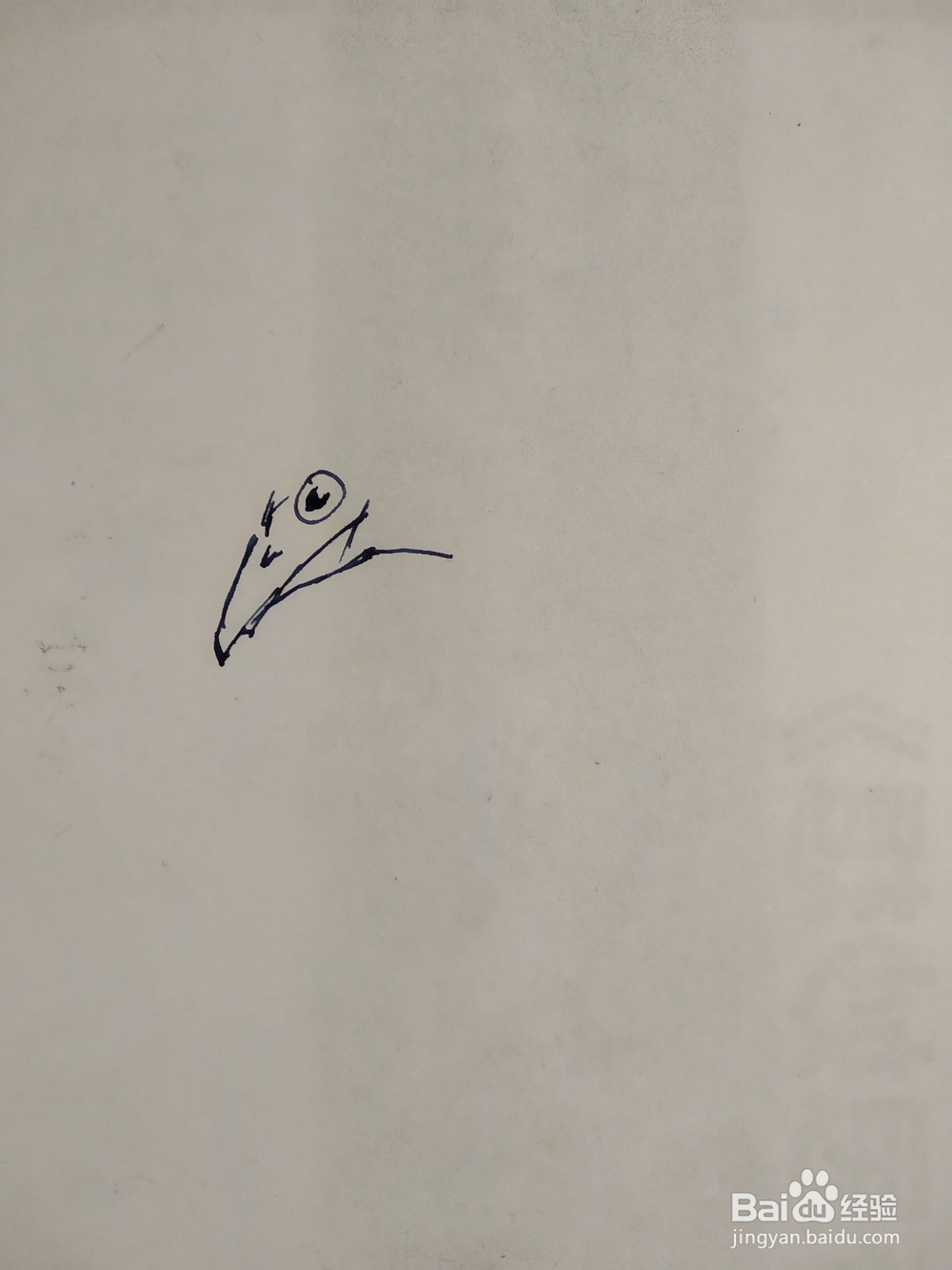 如何用双勾法画伯劳鸟?