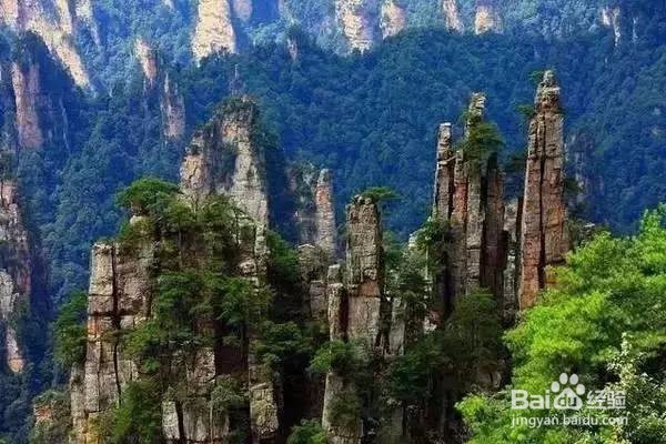全国免费5A级旅游景点攻略