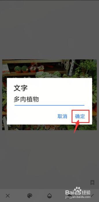 Snapseed怎么给照片添加文字