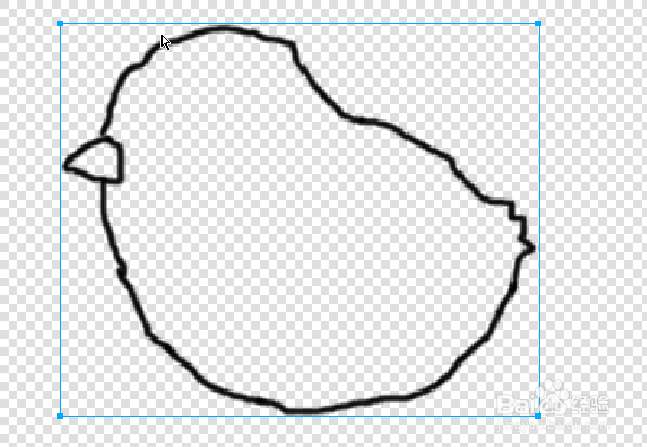 firework 五步画小鸡