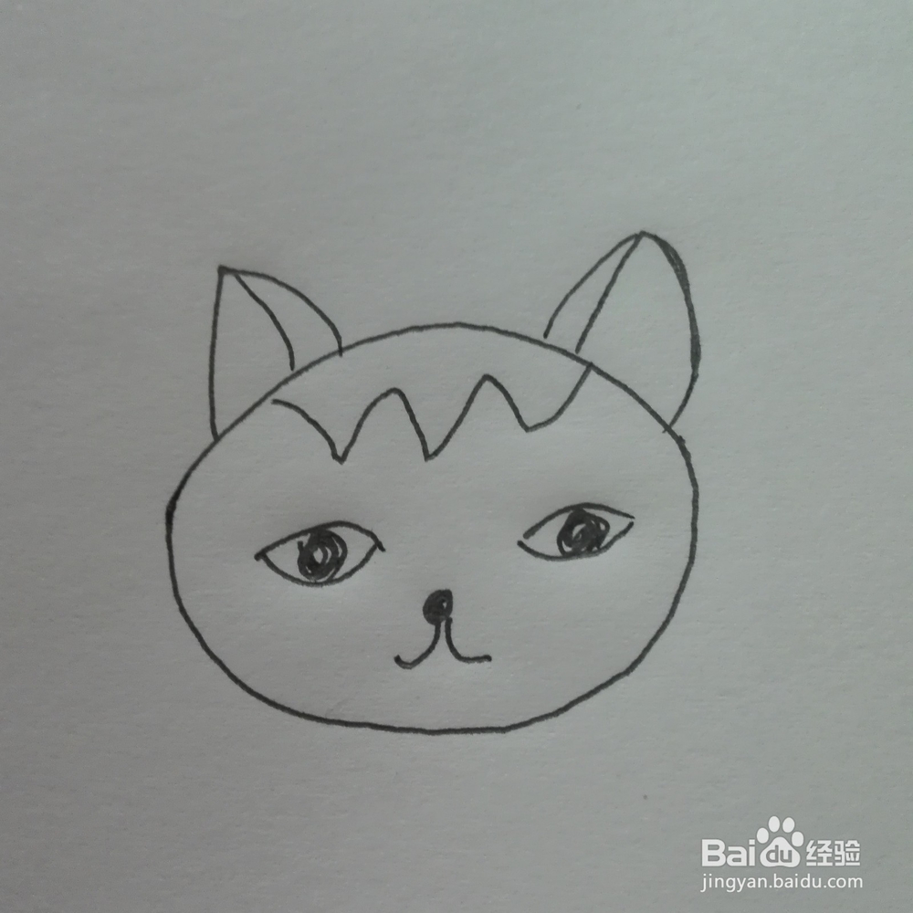 简笔画--小猫咪