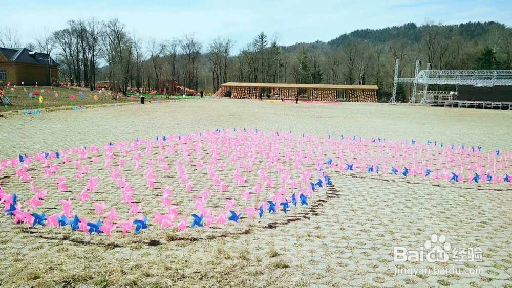 风车节成功举办的经验心得