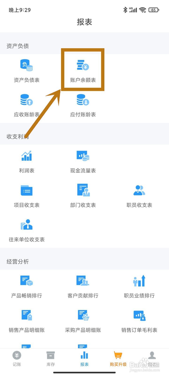 如何在《账王记账》查看账户余额表？