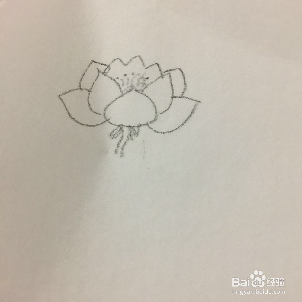 如何画出荷花