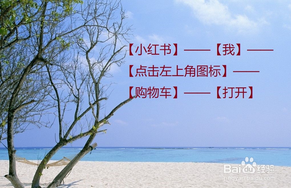 小红书怎么查看自己的购物车？