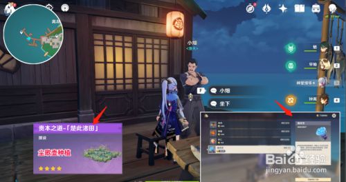 原神：海灵芝采集路线攻略