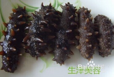 海参的营养价值
