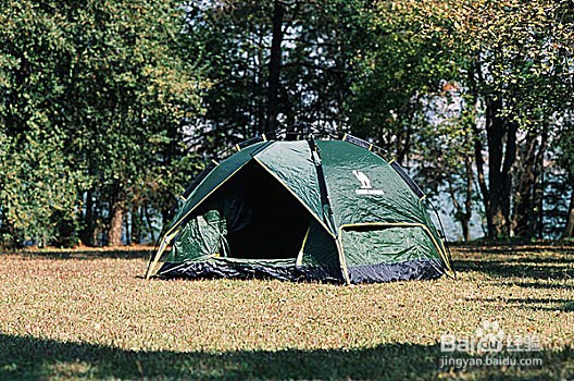 露营中的防蚊技巧