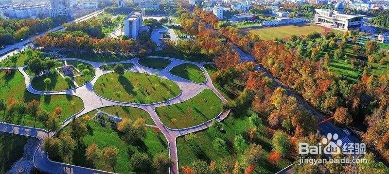 【摄影技巧】怎样掌握平拍、俯拍、仰拍摄影技巧